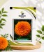 Marigold Orange - Image 1